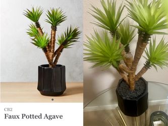 CB2 Modern Faux Potted Agave – 21” Tall