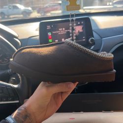 Chocolate Tasman Uggs