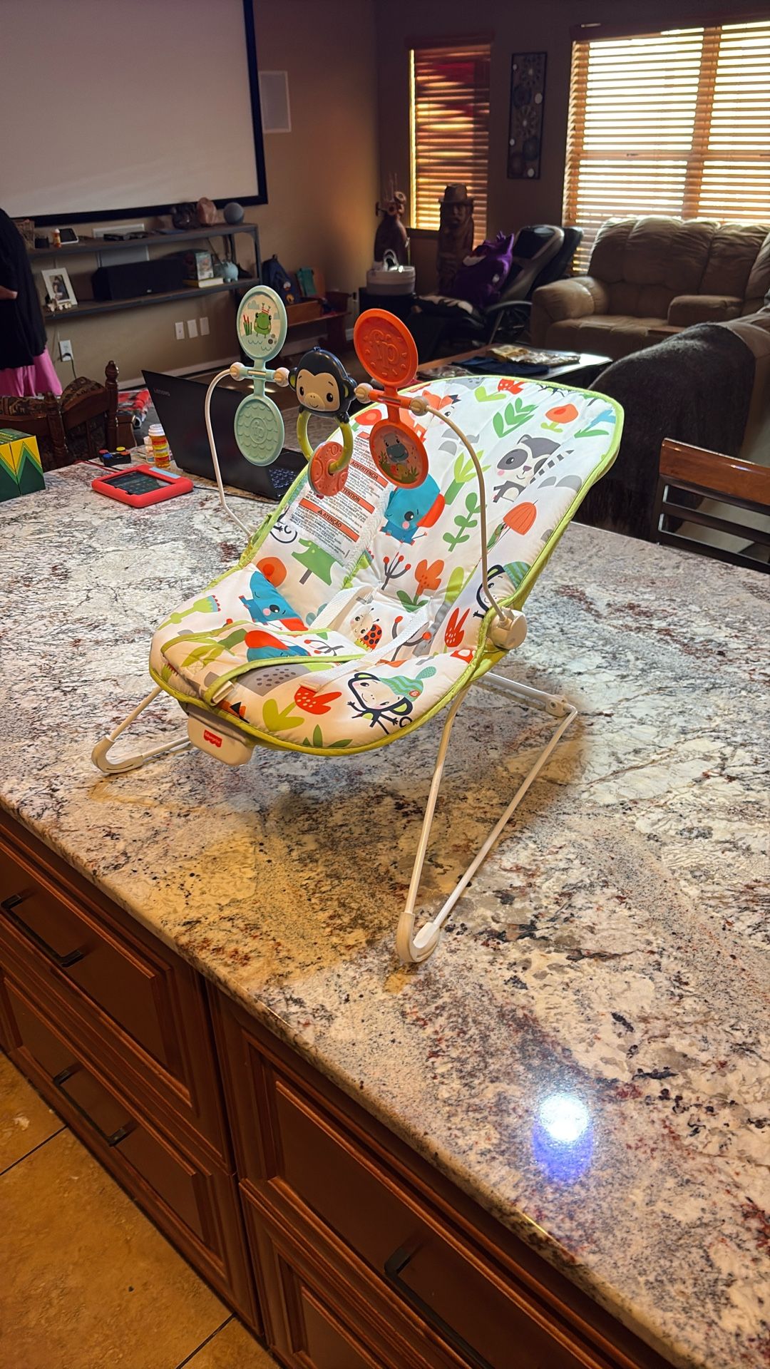 Like New Baby Bounce Seat