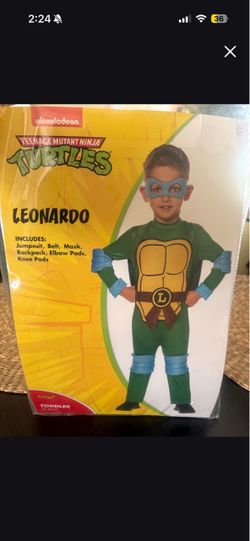 Ninja turtle costume