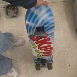 Skateboard, Skippy Design