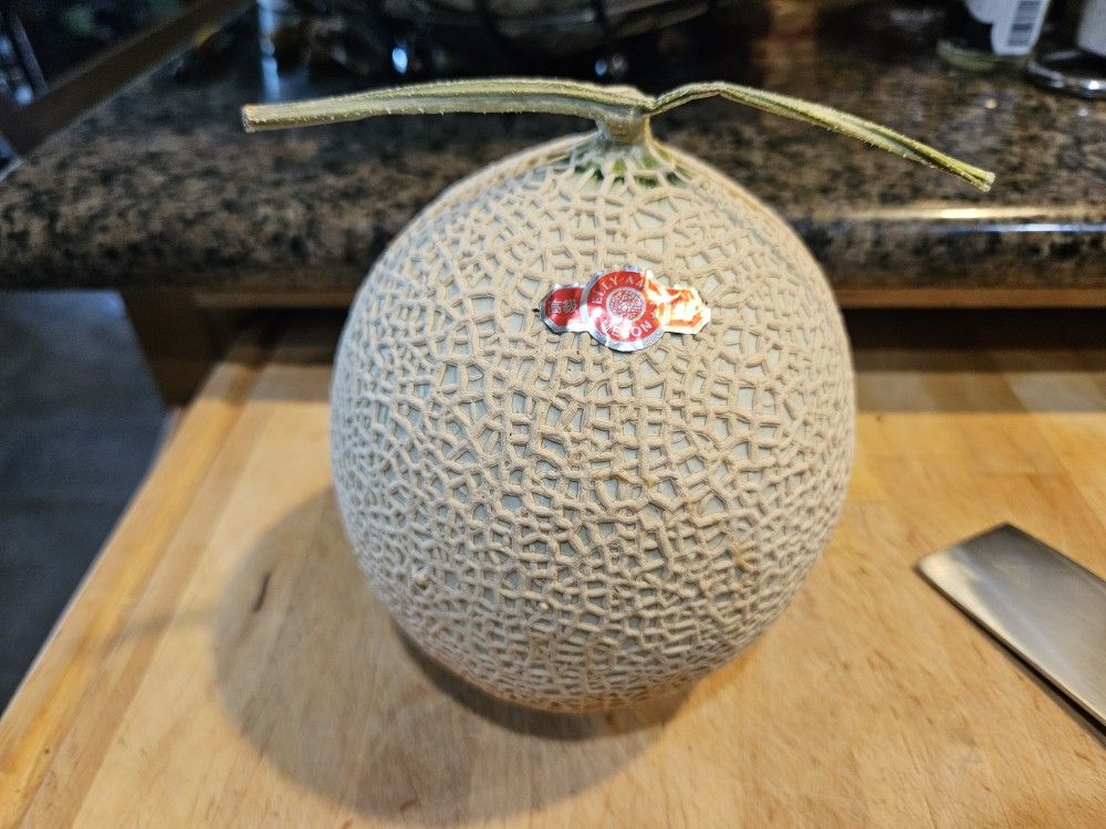 Musk Melon Seeds