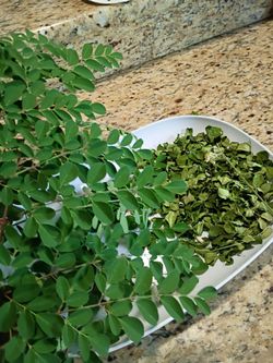 Moringa leaf fresh 50 grams