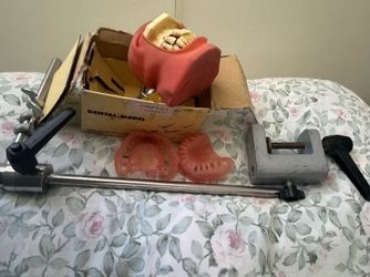 Dental typodont