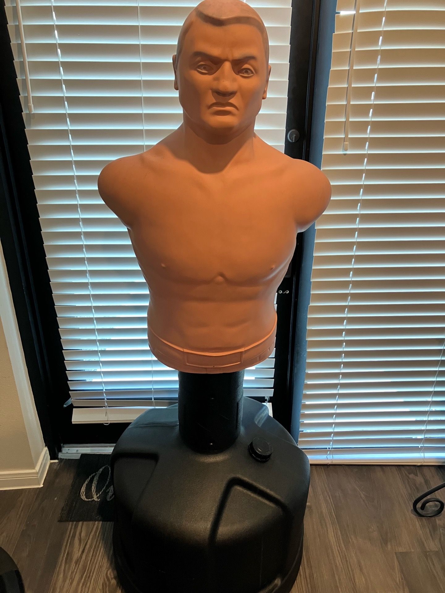 Century Bob Punching Bag