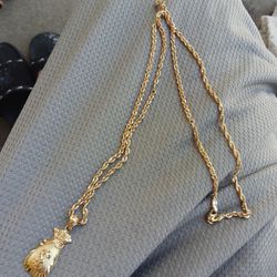 10k Gold Rope Chain And Money Bag 