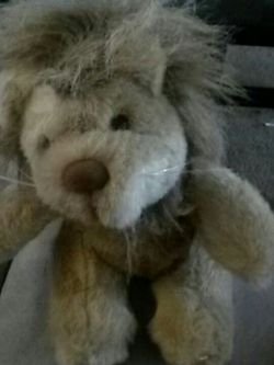 Cute lion