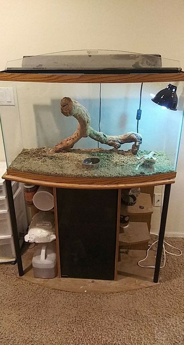 Cheap Octagon Shaped. Aquarium w/t Stand for Sale in Phoenix, AZ OfferUp