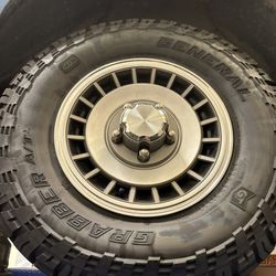 Ford F150 Bronco Oem Wheel Covers 