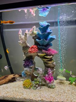 fake aquarium corals