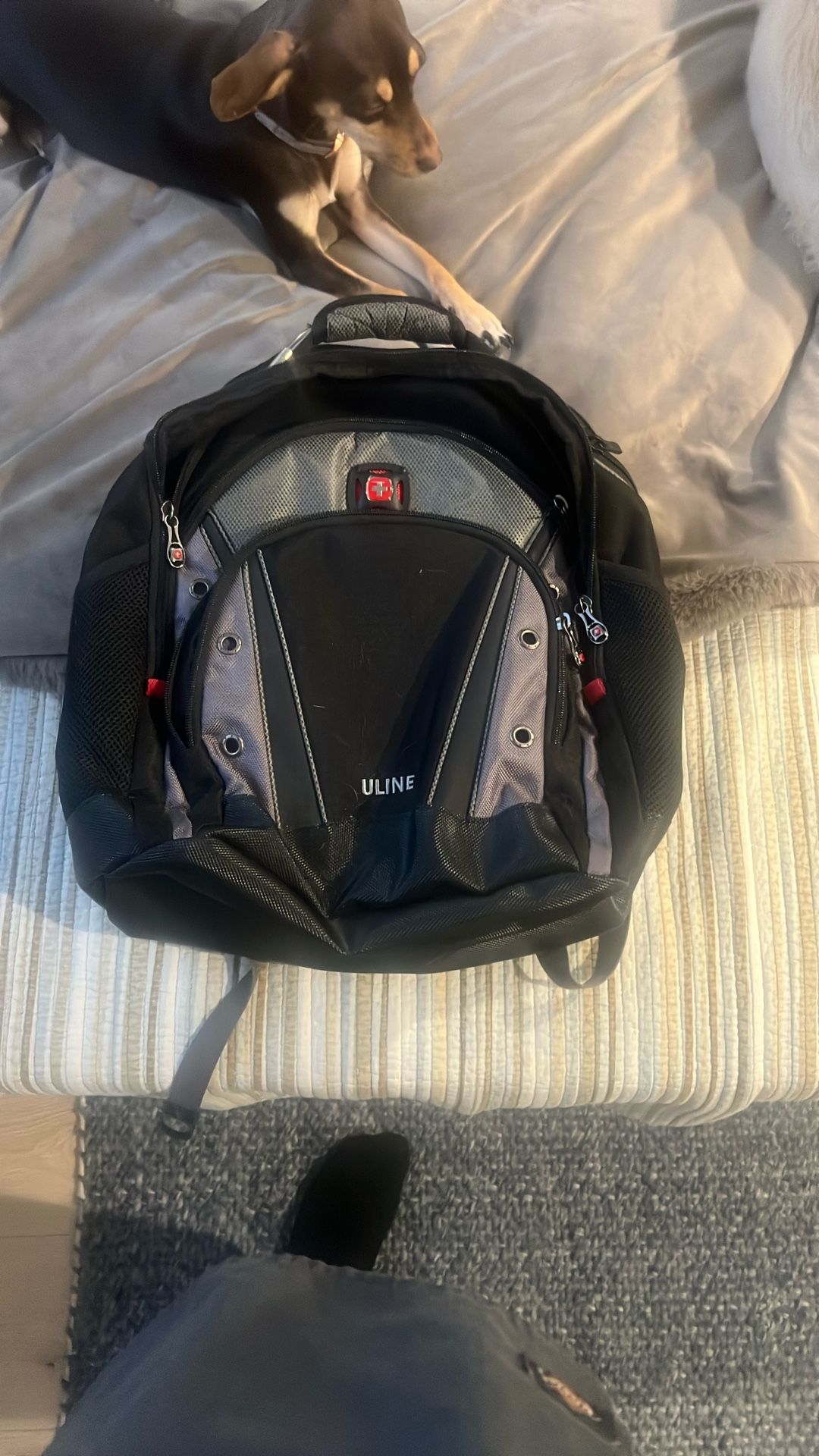 New Swiss gear laptop backpack