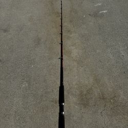 Saber Fishing Rod