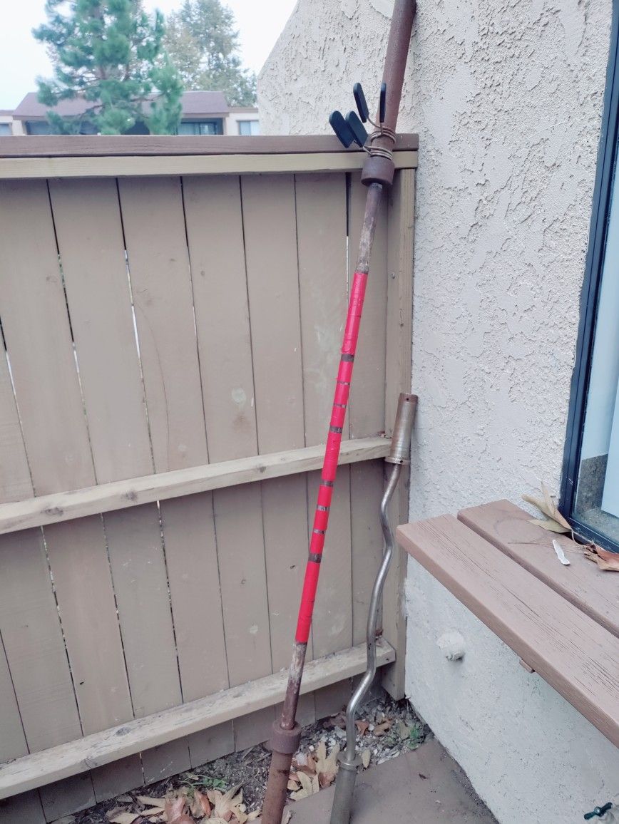 Olympic Bar And Ez Curl Bar