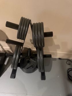Weight tree + ~250 lb grip plates — local pickup