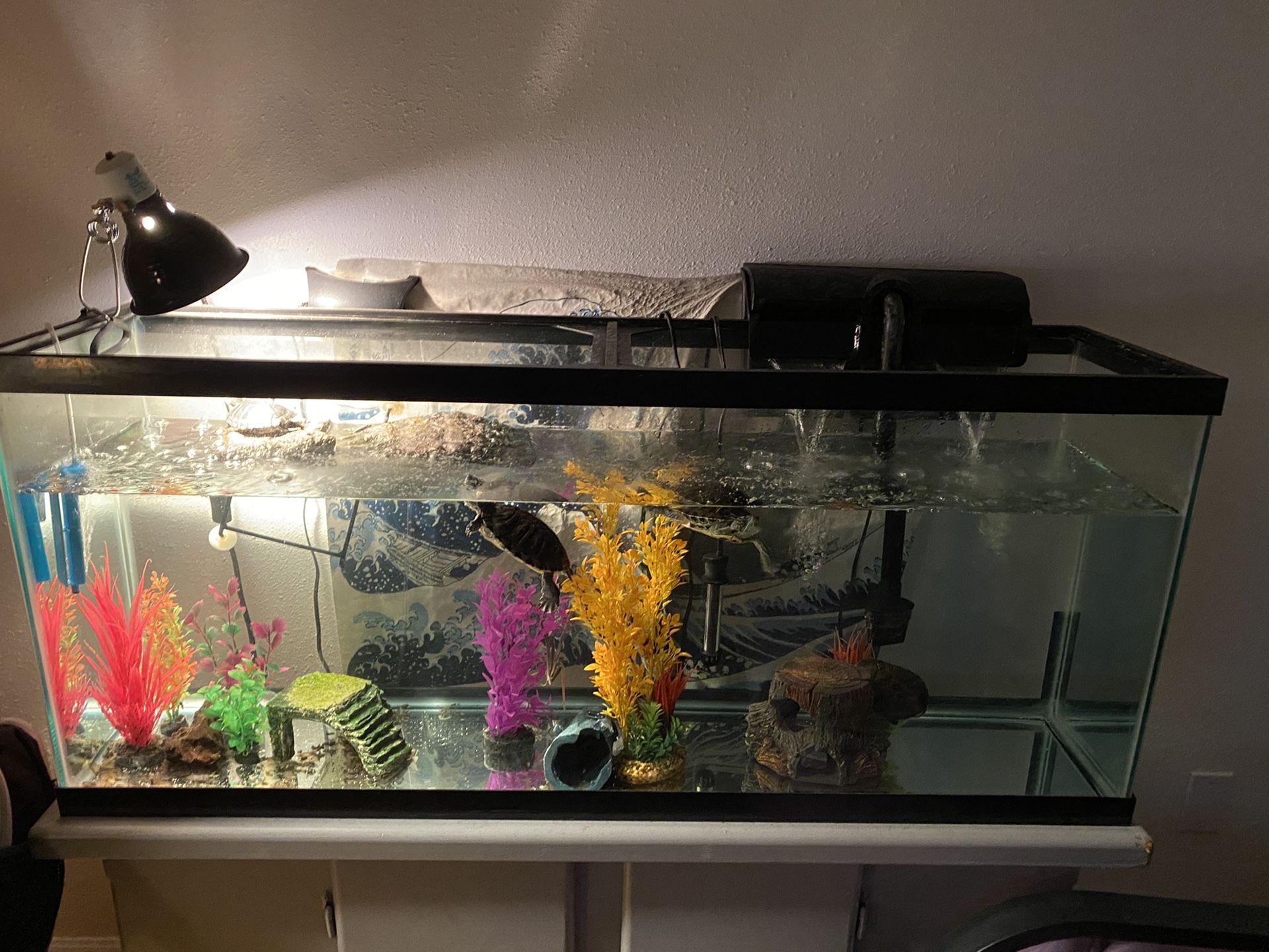 50+ gallon fish tank/ aquarium and stand