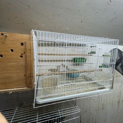 Bird Cage