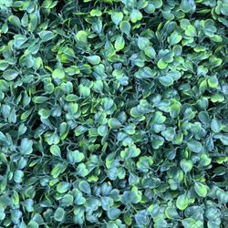 Artificial Grass Wall Panel Backdrop, 10“ by 10” 12P (8.4 sqft) UV-Anti Greenery Faux Boxwood Panels for Indoor Outdoor Green Plant Wall Decor & Ivy F