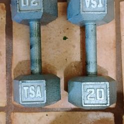 Pair Of 20 Pound Cast Iron Dumbbells