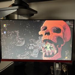 AOC 25” PC Monitor