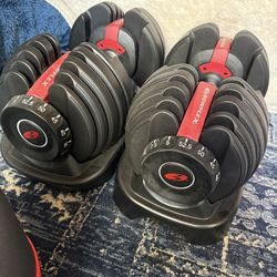 Bowflex weight set