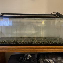 40 Gallons Fish Tank With Stand and Light