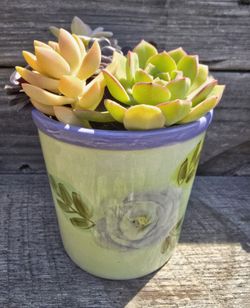 Cute Painted Pit With Succulent Arrangement 