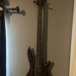 Ibanez 5 String bass