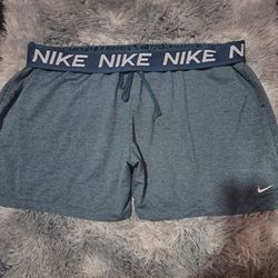 Nike Athletic Shorts Size 2xl