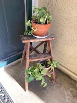 Plant stand