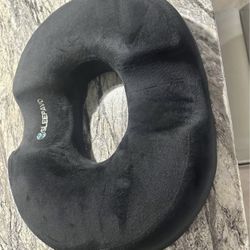 Seat Cushion Support 