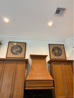 Framed and matted unique leaf prints