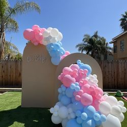 Gender Reveal Decorations 