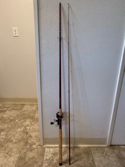 Fenwick Spinning rod and reel