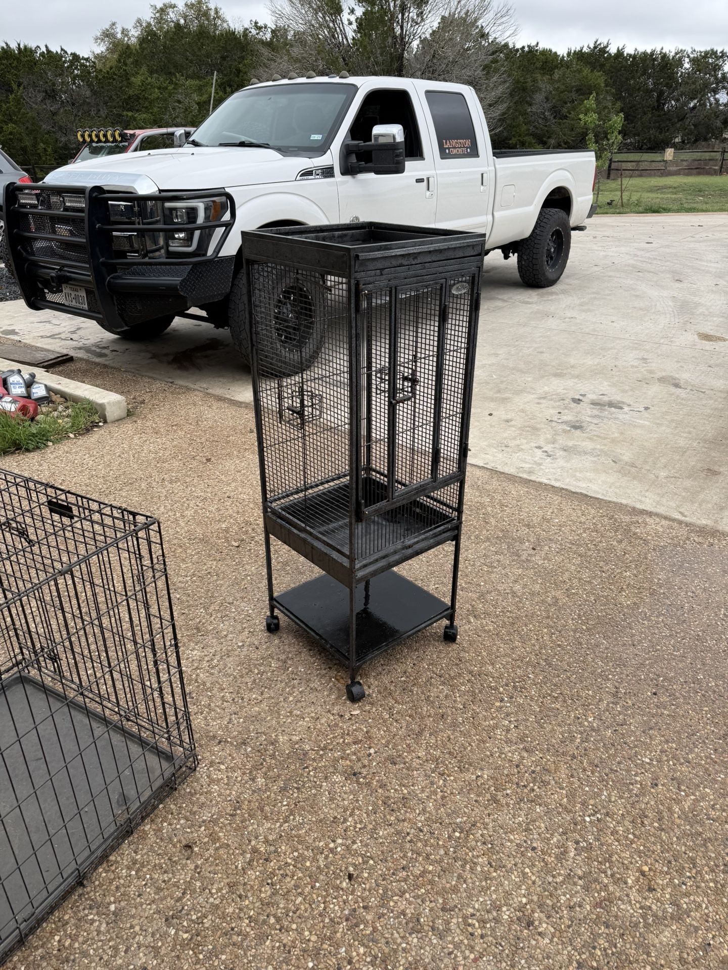 Bird Cage