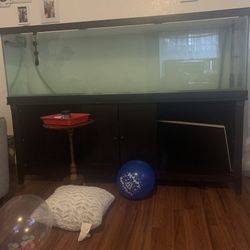 125 Gallon Tank ONLY