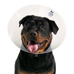 15cm Adjustable Pet Cone Collar 