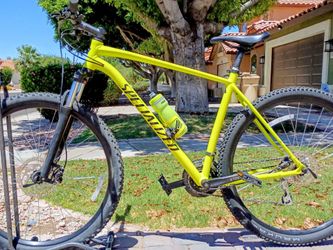 29 inch Specialized Rockhopper mountain bike