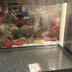 Aquarium 