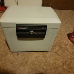 Sentry 1170 Gunsafe