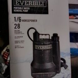 Portable Water Pump Removal 