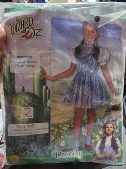 Dorothy costume