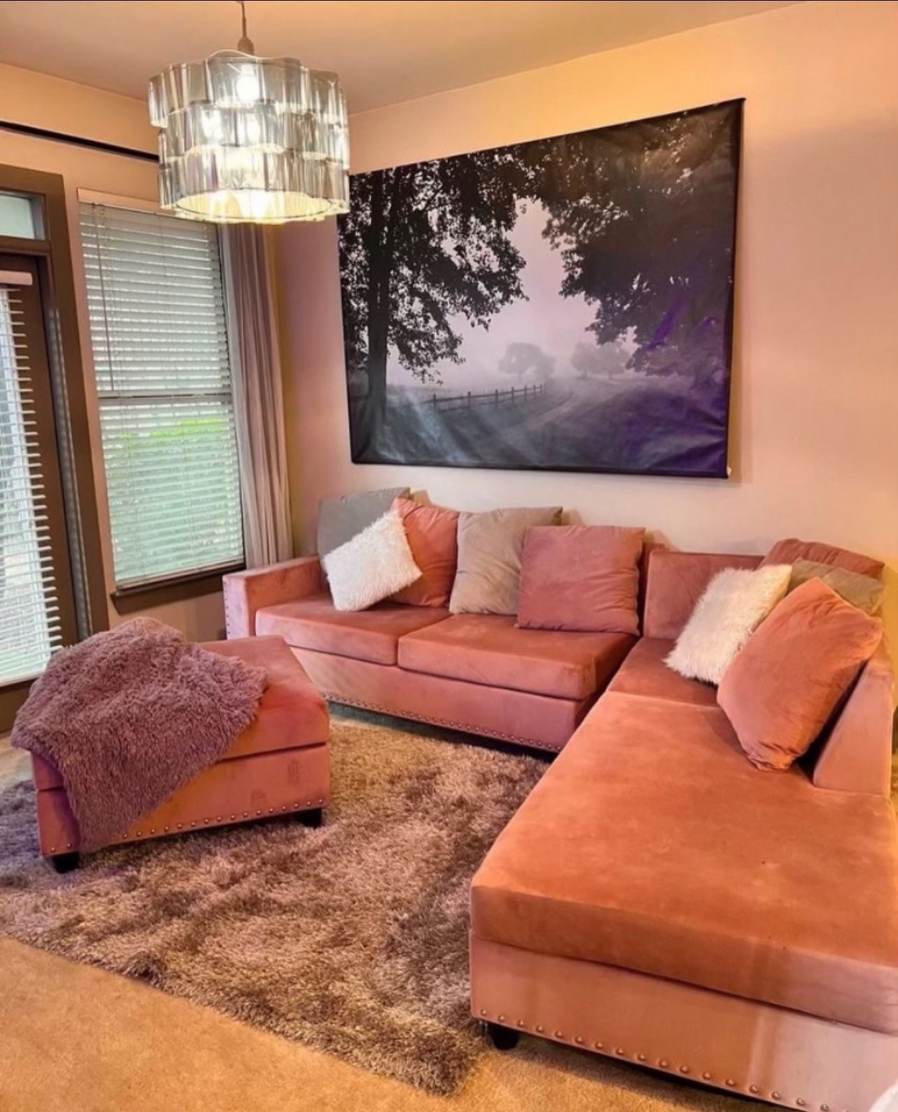 BLACK FRIDAY SALE! 113 Inch Velvet Sectional