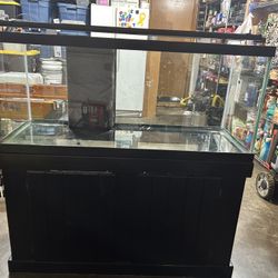 75 Gallon Fish Tank 