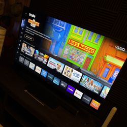 55” Vizio 4K Smart TV (V555-J01)