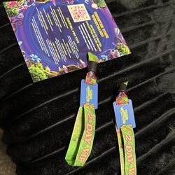 2 2-day VIP beyond wonderland tickets