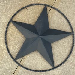 Metal Star With Twist Trim