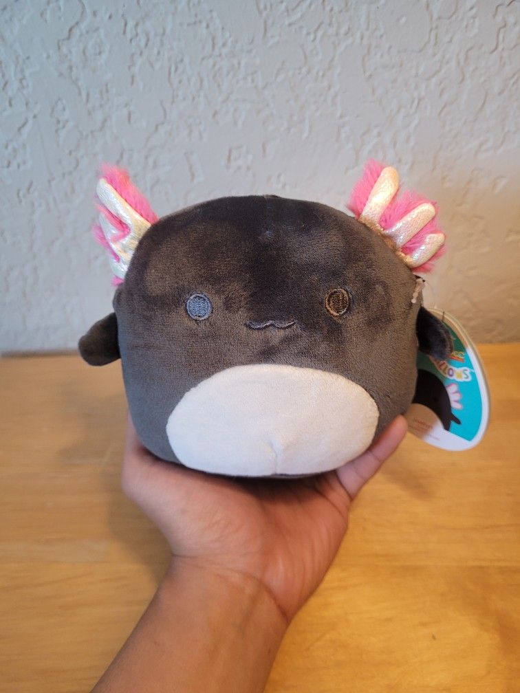 5" Squishmallow JAELYN the Black Axolotl Plush NWT