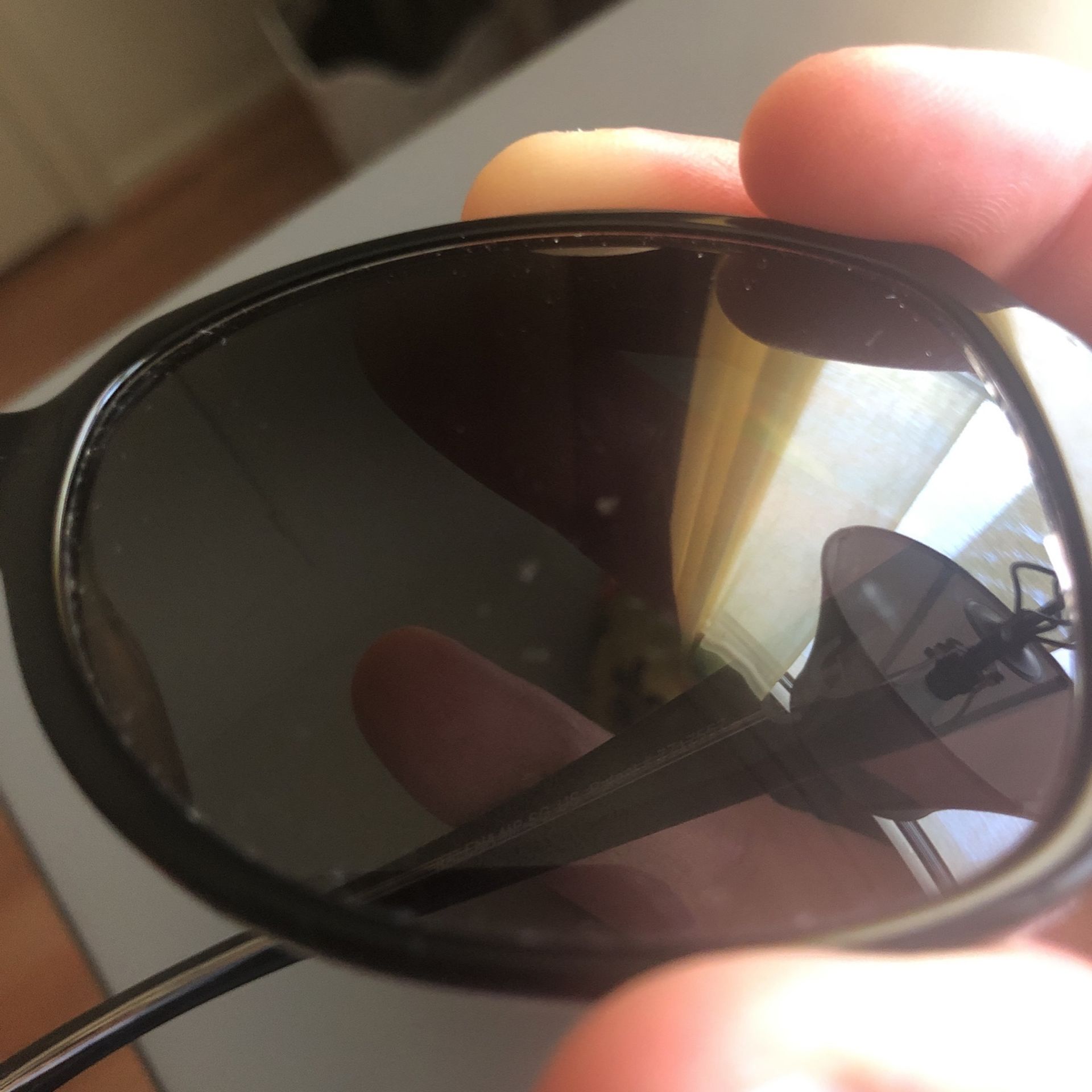 maui jim kalena