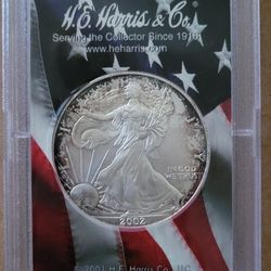 2002 American Eagle Silver Coin 