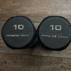 10 Pound Dumbbells 